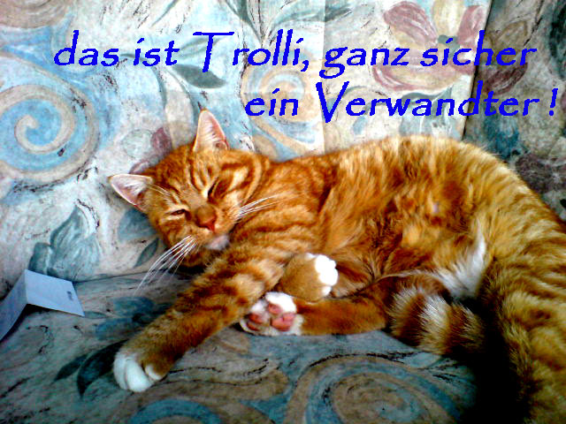 ssstubentiegerss
