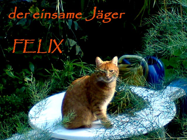 fffelixjaegerff