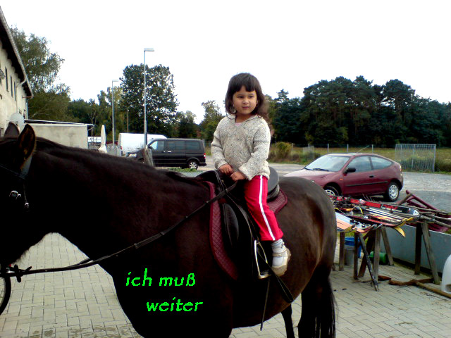 wwweiterwww