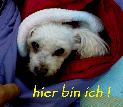 bbbbinhierbbb