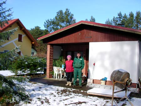 538baumfaell-5