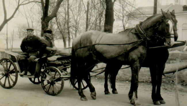 pferdwagen