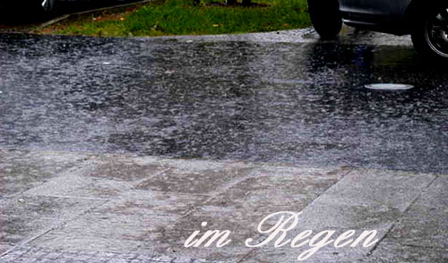 regenimreg