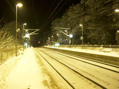 fangschl winter