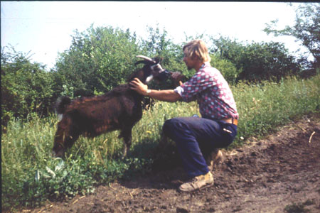 ziegenbock