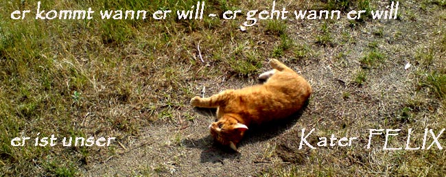 felixduratschet