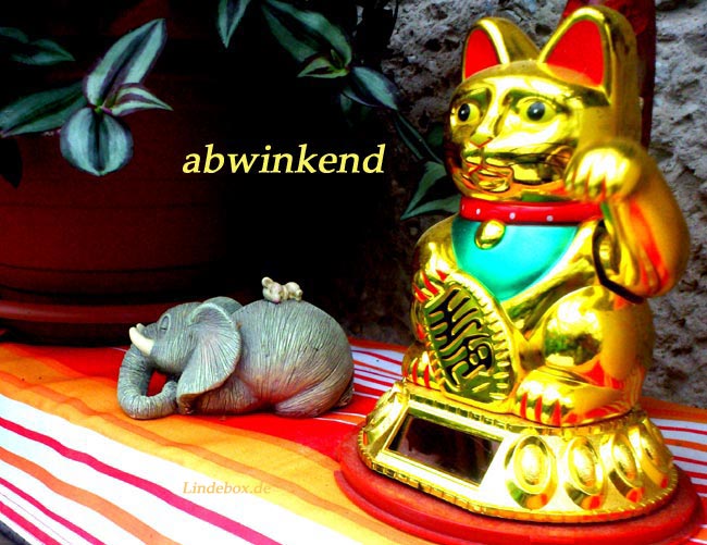 abwinkekatze