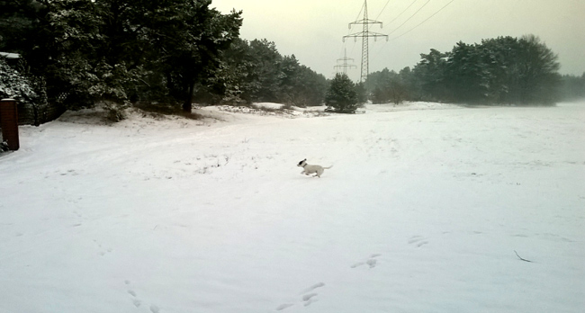 baluimschnee
