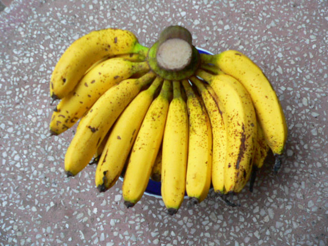 banan004a