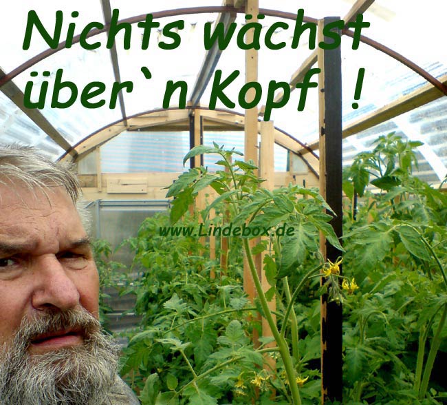nicht2viel2