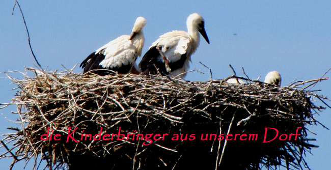 stoerche001 stoerche001