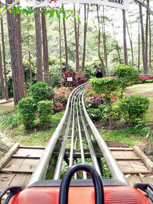 park005