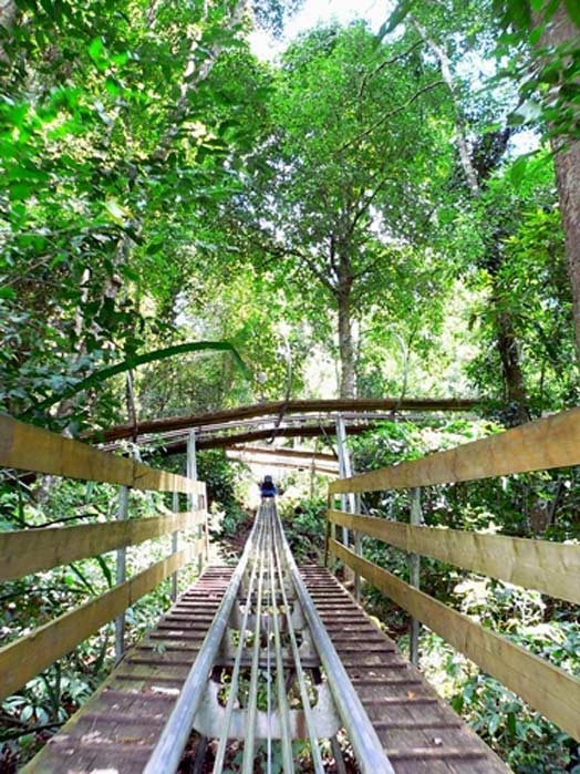 park013