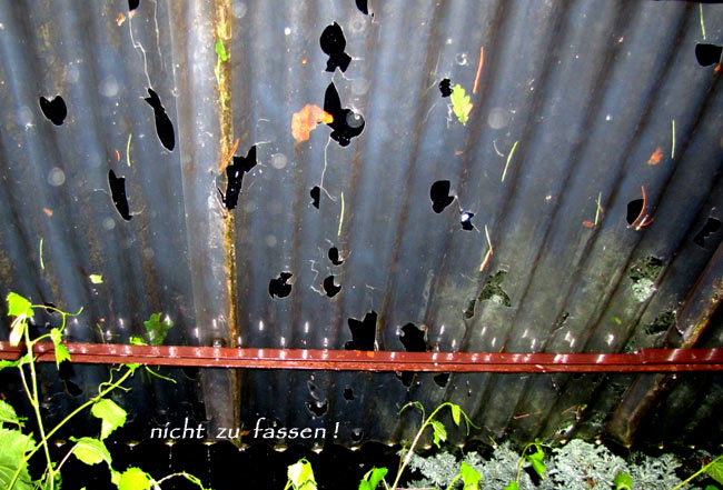 glattedurchschuessex glattedurchschuessex