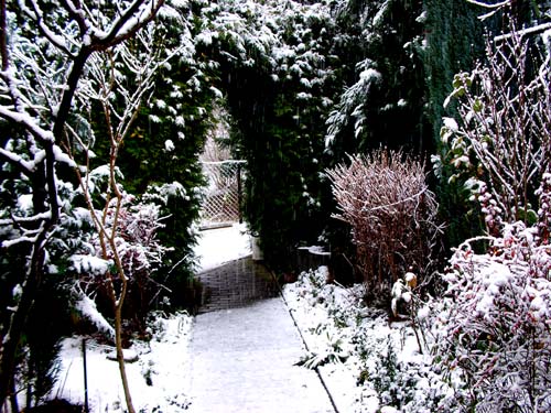 erstschnee8