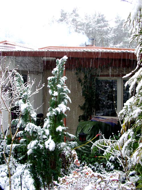 erstschnee8fenst