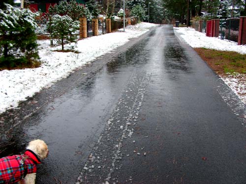 erstschnee8str