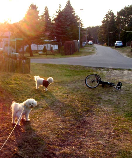 hunderunde
