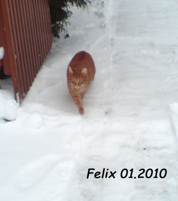 felix2010
