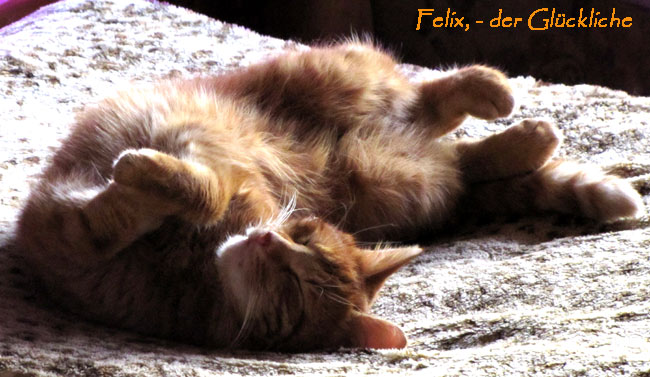 feliximglueckkk