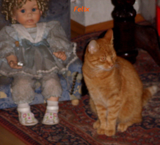 fffelixffx1