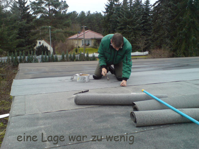 dachbild02