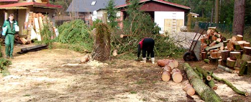 frholz