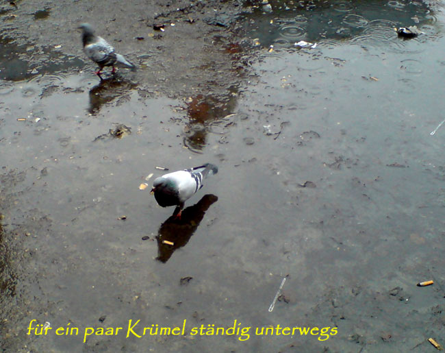 fuereinpaarkruemelyx fuereinpaarkruemelyx