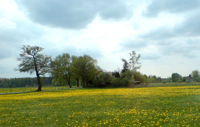 gaensebluemchen11 gaensebluemchen11