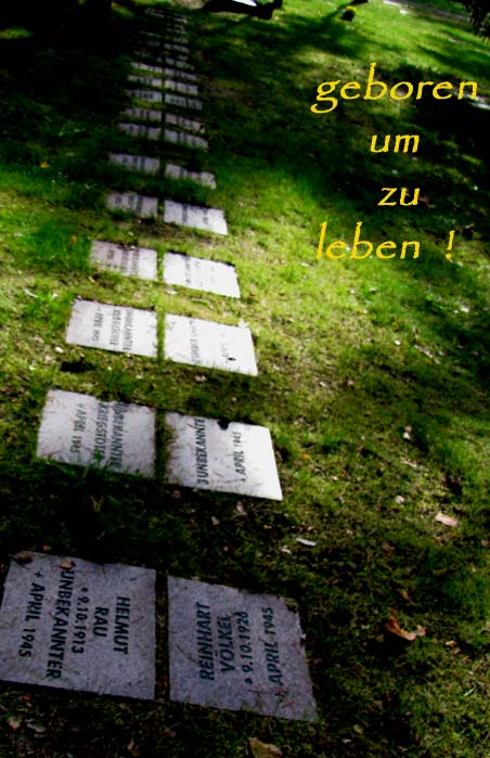 geborenzulebenx