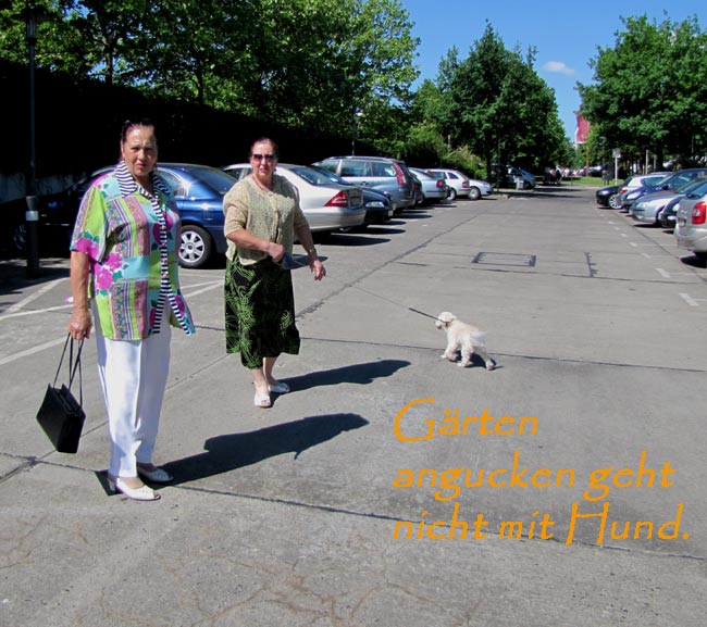 garten001a