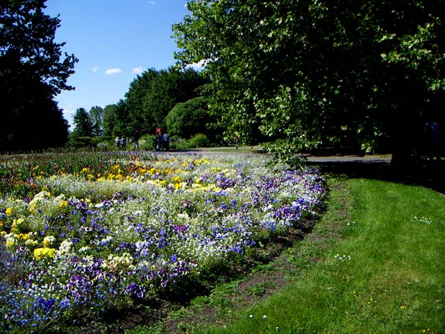 garten003
