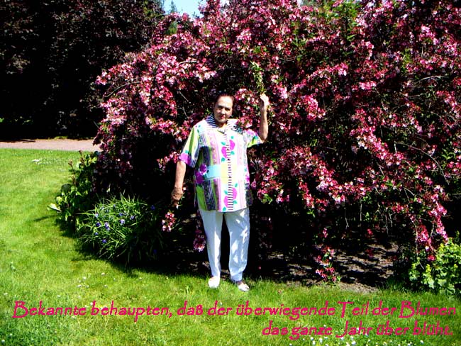 garten008