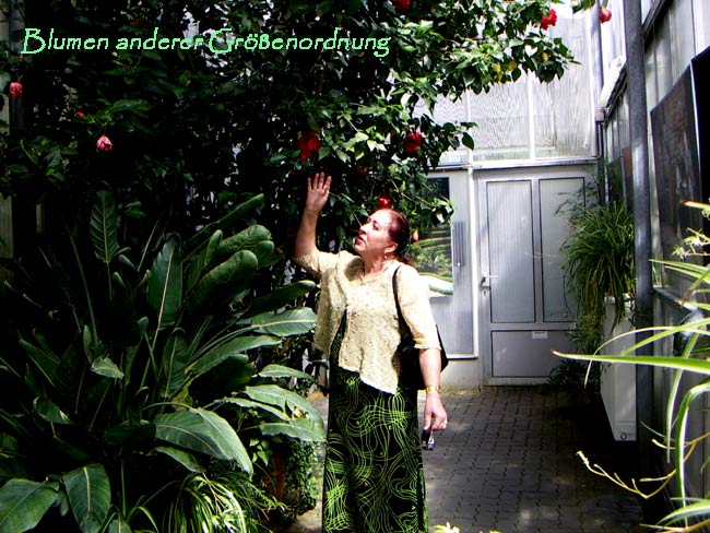 garten012