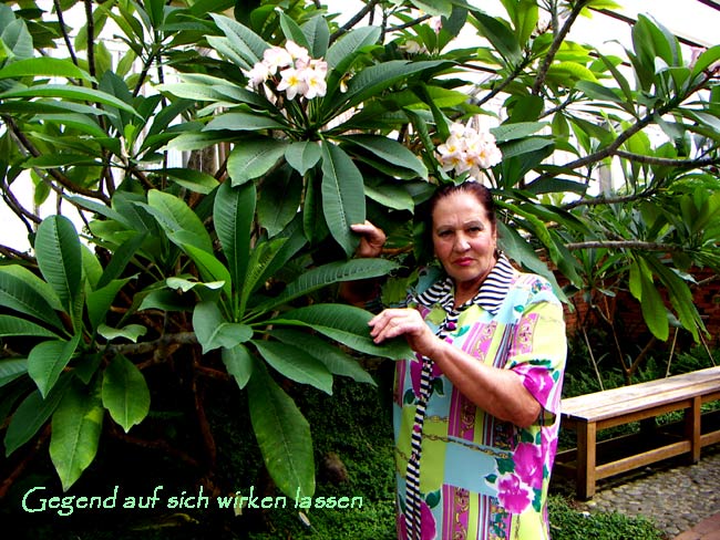 garten015