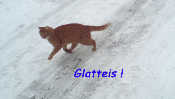 glatteisfelix