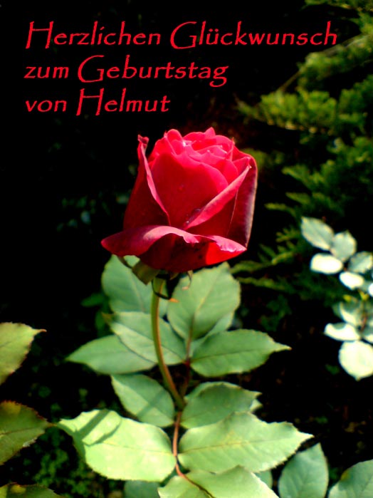 xglueckwuenschy