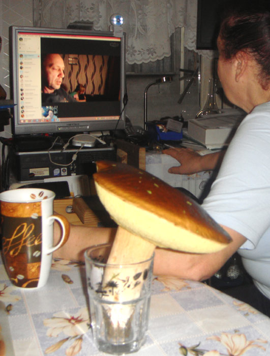 skypepilze