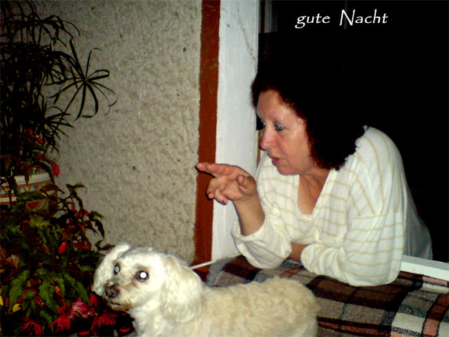 ich suche frau aus polen