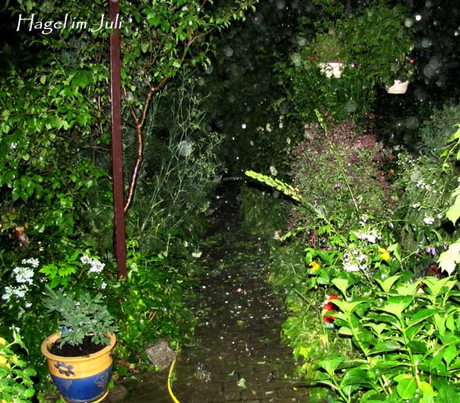 hagelschlagx hagelschlagx