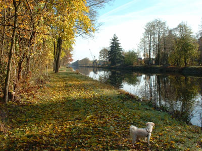 Herbst_am_Kanal_TT