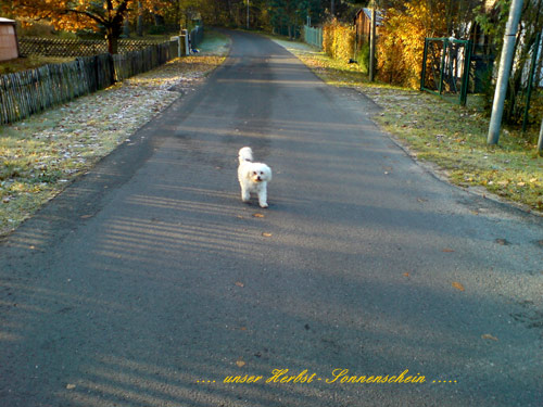 dieherbstsonne
