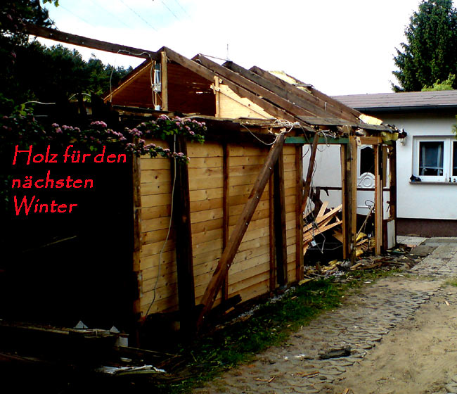 winterholz