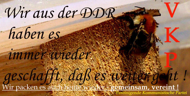 hhhummelhh