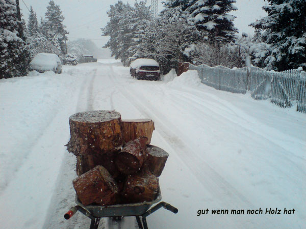 holzholen