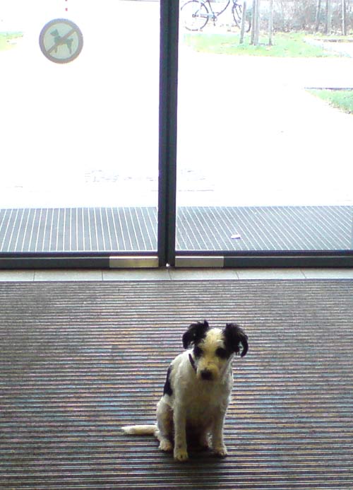 hundeverboten