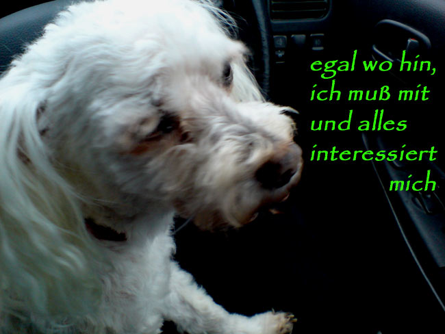 teresamussmityx teresamussmityx