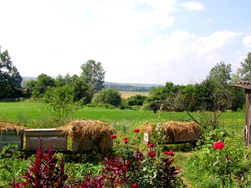 natur