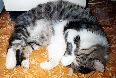 wassili