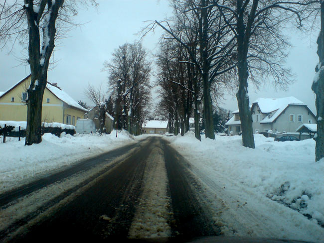 xstrasselindenyyx